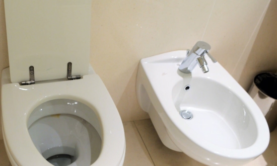 便器が2つのトイレどうやって使う?驚きの「世界のトイレ事情」4選